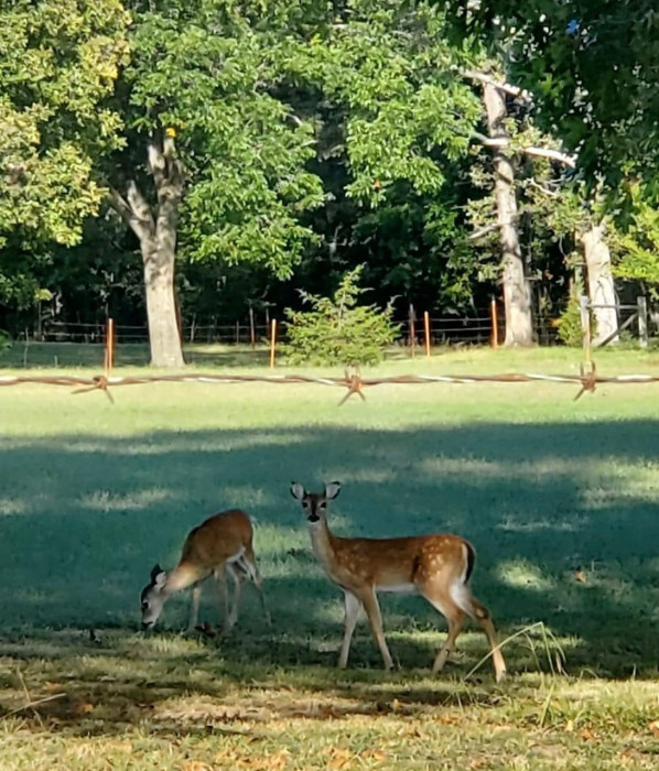 Cobb RV Park LLC