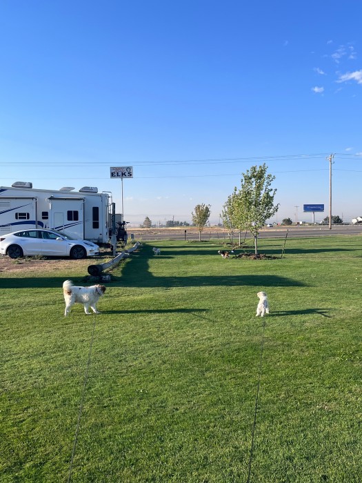 Snake River Elks Lodge #2807