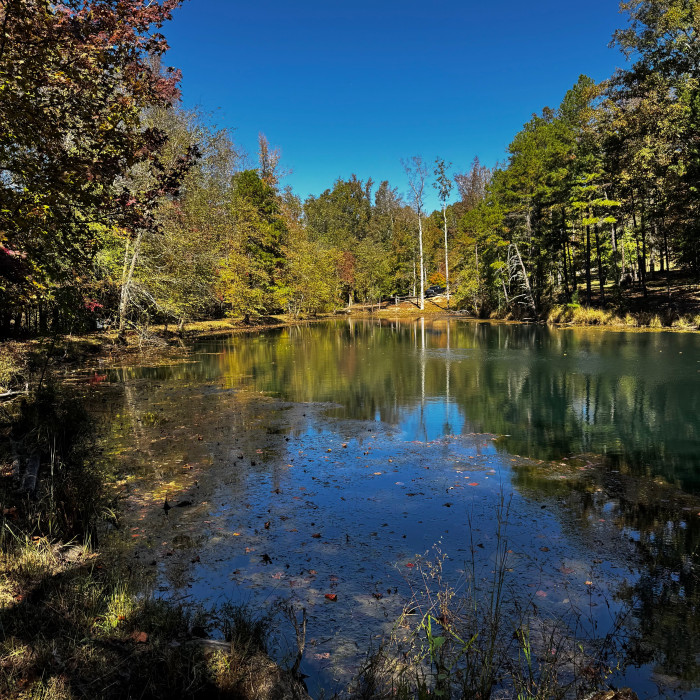 Woodland Park Campground