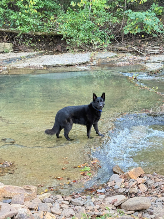 Keck’s Creek Crossing