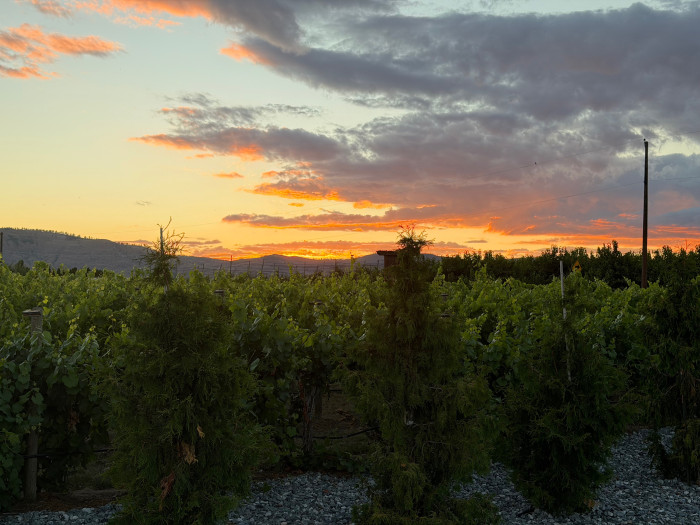 The Park at Lone Point Cellars