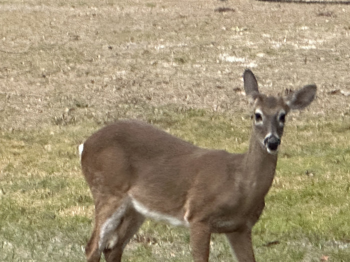 Vitambi Springs Resort and Campground