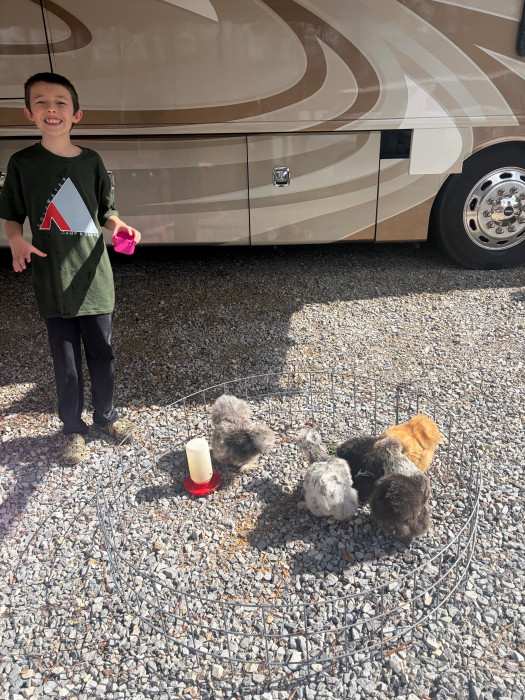 Coldwater Camp and Cabins