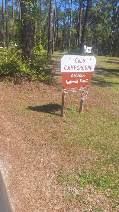 Osceola National Forest, Cobb Hunt Campground