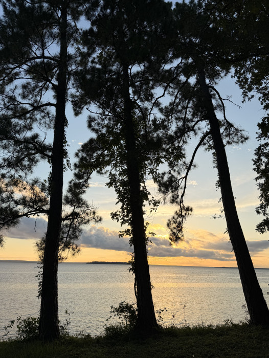 Lake Livingston State Park