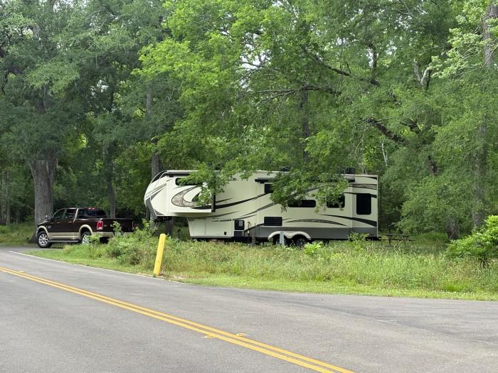 Brazos Bend State Park