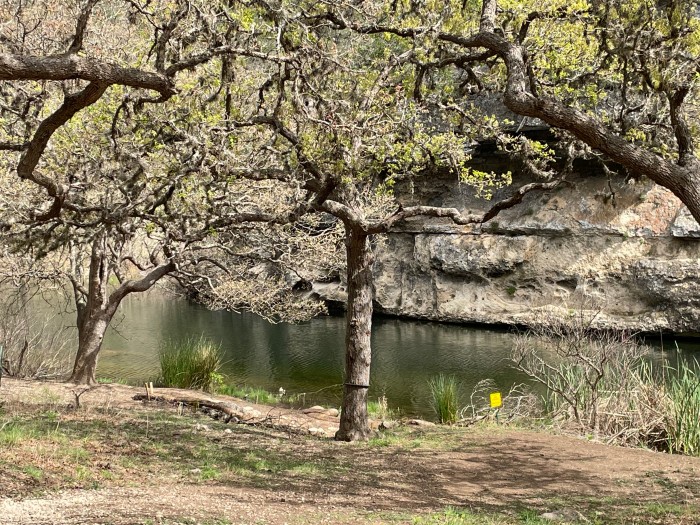 Lost Maples State Natural Area