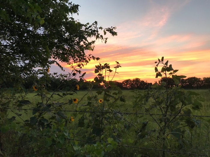 Patriot RV Parks – Waco