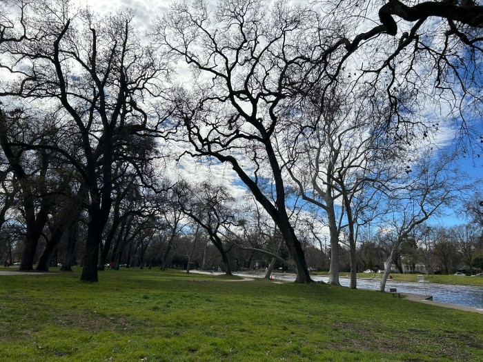 Almond Tree RV Park