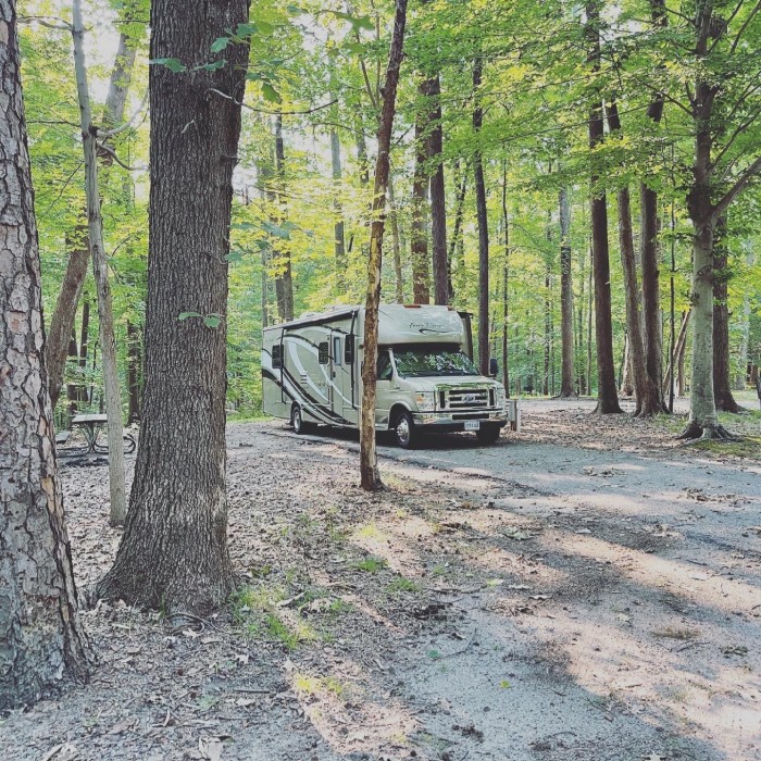 Newport News Park campground – A Loop