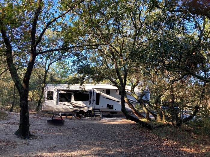 First Landing State Park Campground