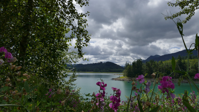 Alder Lake Park