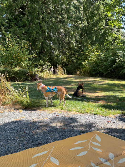 Pioneer Trails RV Resort