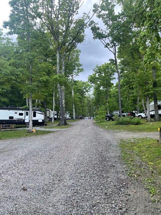 Sand Springs Campground