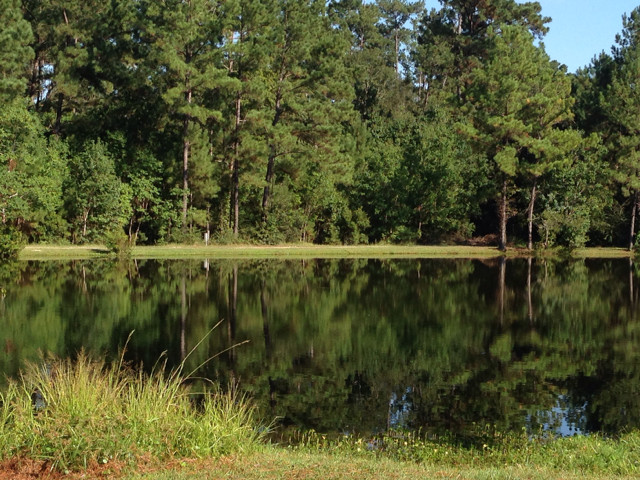 Styx River Resort