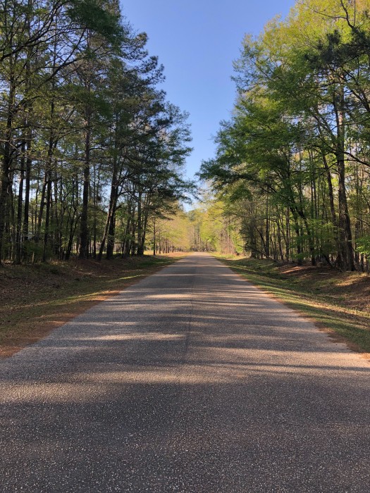 Fort Toulouse-Fort Jackson State Historic Site