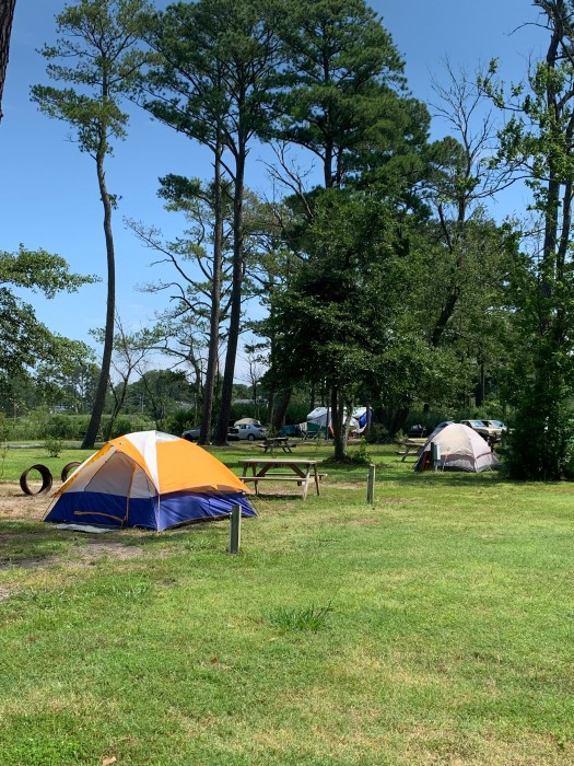 Pine Grove Campground and Waterfowl Park