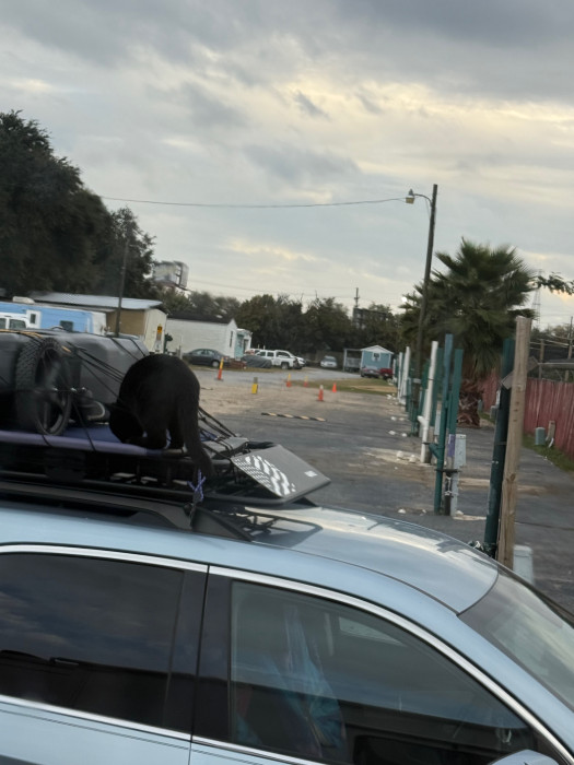 Mardi Gras RV Park & Motel