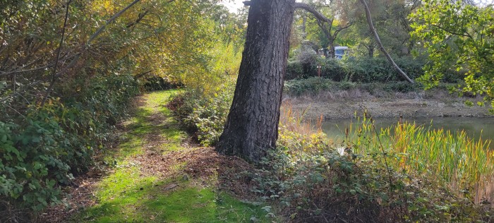 Auburn Gold Country RV Park