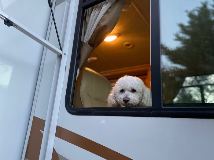 Willow Lake RV & Camping Park