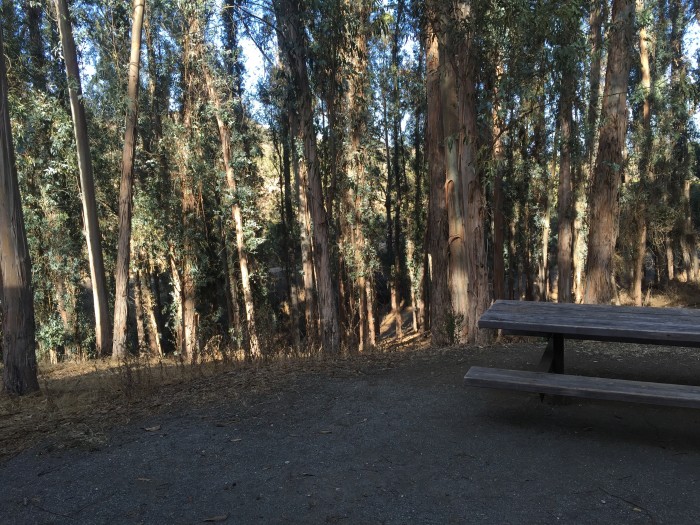 Anthony Chabot Regional Park