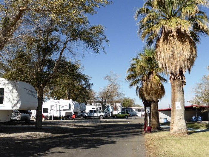 Arabian RV Oasis