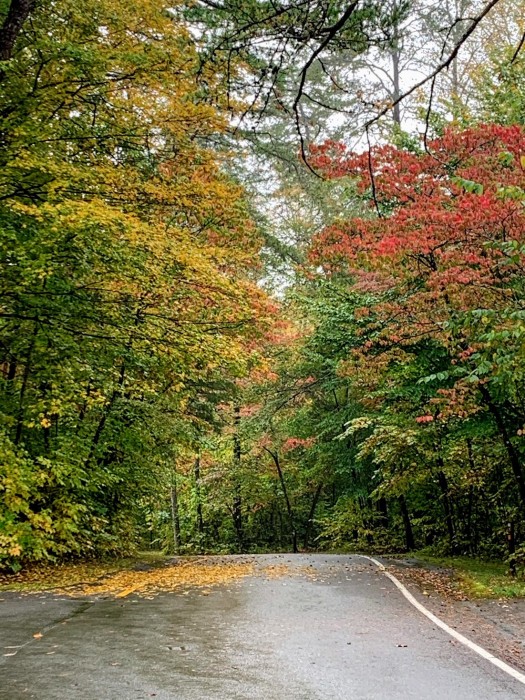 Cumberland Gap National Historic Park / Wilderness Road Campground