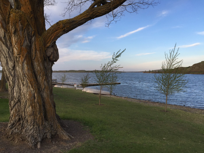 Sprague Lake Resort