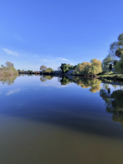 Dos Reis Regional Park
