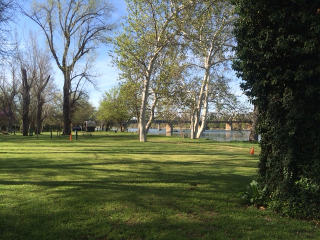 Driftwood RV Park & Fishing Resort