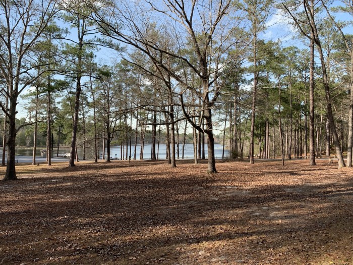 Magnolia Springs State Park
