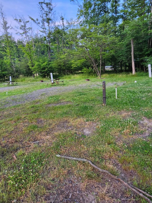 Yogi Bear’s Jellystone Park – PA Wilds