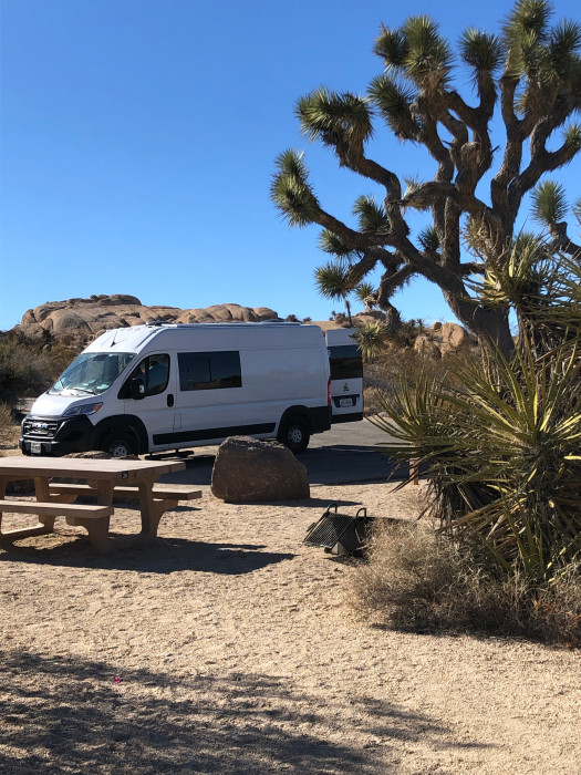Jumbo Rocks Campground