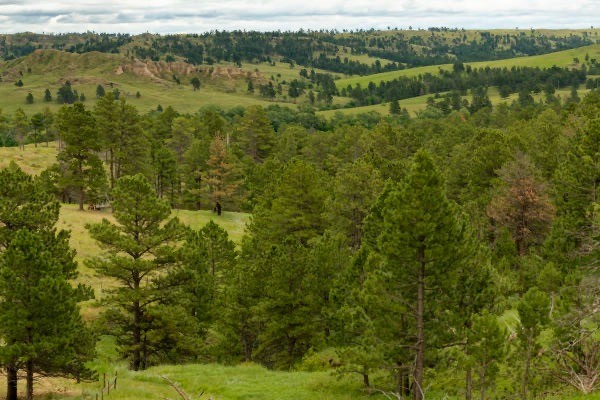 Chadron State Park