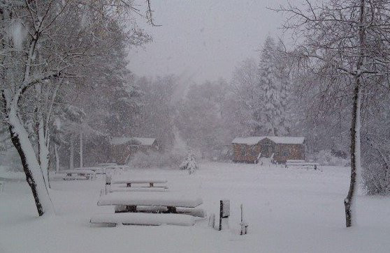 Mount Shasta City KOA Holiday