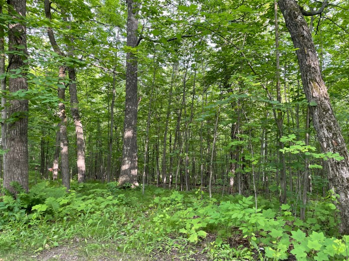 Spirit Mountain Campground