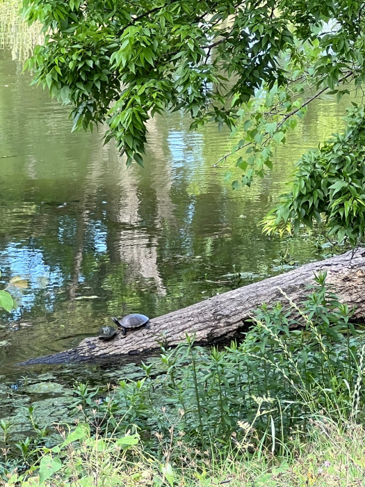 Lake Bruin State Park