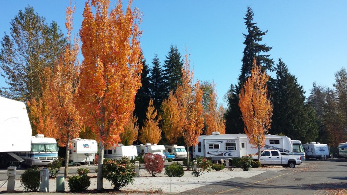 Maple Grove RV Resort