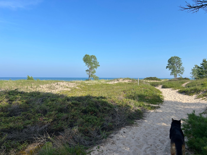 Point Beach State Forest Campground