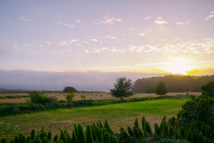 Costanoa Camp Resort & Lodge