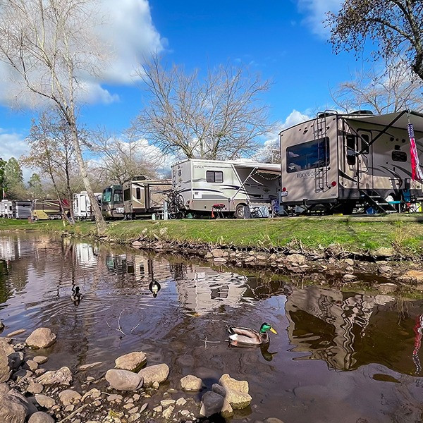 49er Village RV Community
