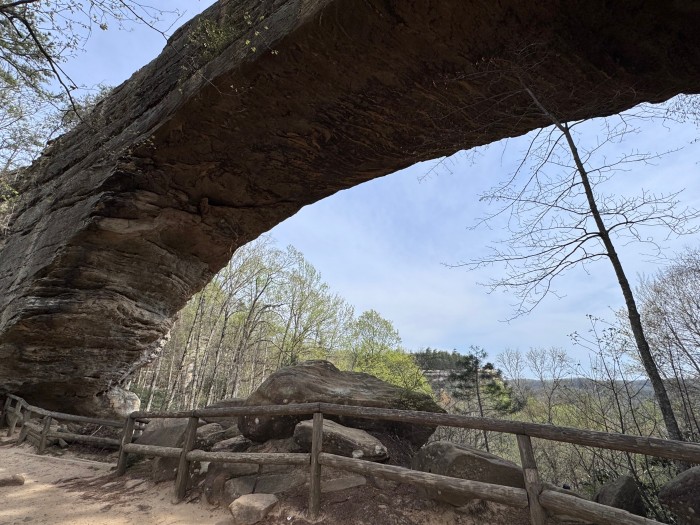 Natural Bridge State Resort Park – Whittleton Campground
