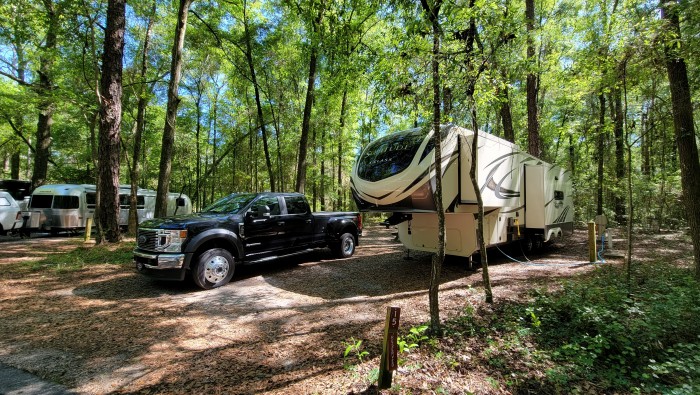 Suwannee River State Park