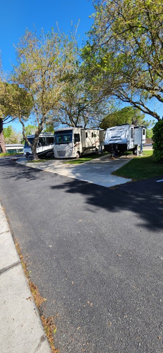 Delta Marina Yacht Harbor