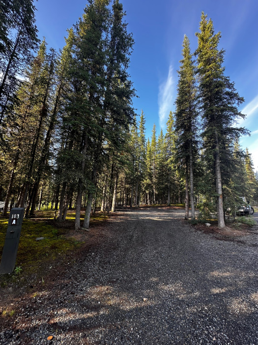 Riley Creek Campground