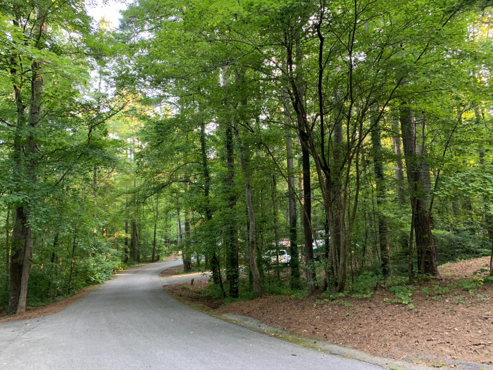 Talladaga Nat’l Forest / Coleman Lake Campground
