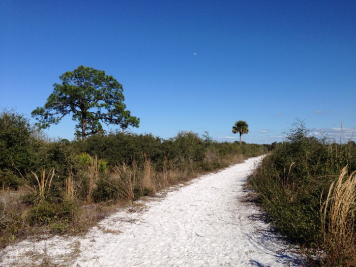 Oscar Scherer State Park