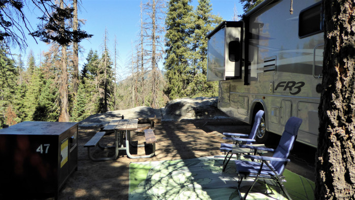 Dorst Creek Campground