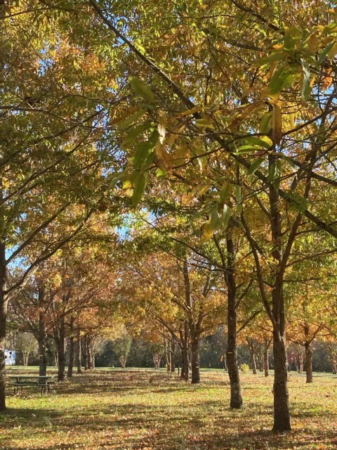 Mill Creek RV Park