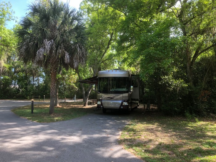 Magnolia Park